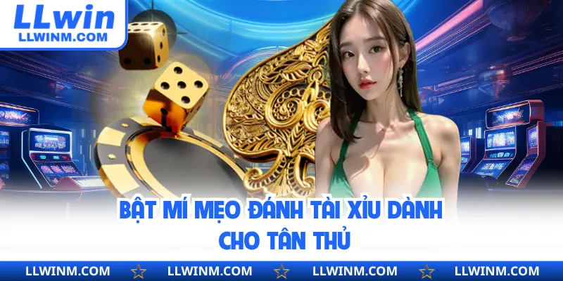 Bật mí mẹo đánh tài xỉu dành cho tân thủ